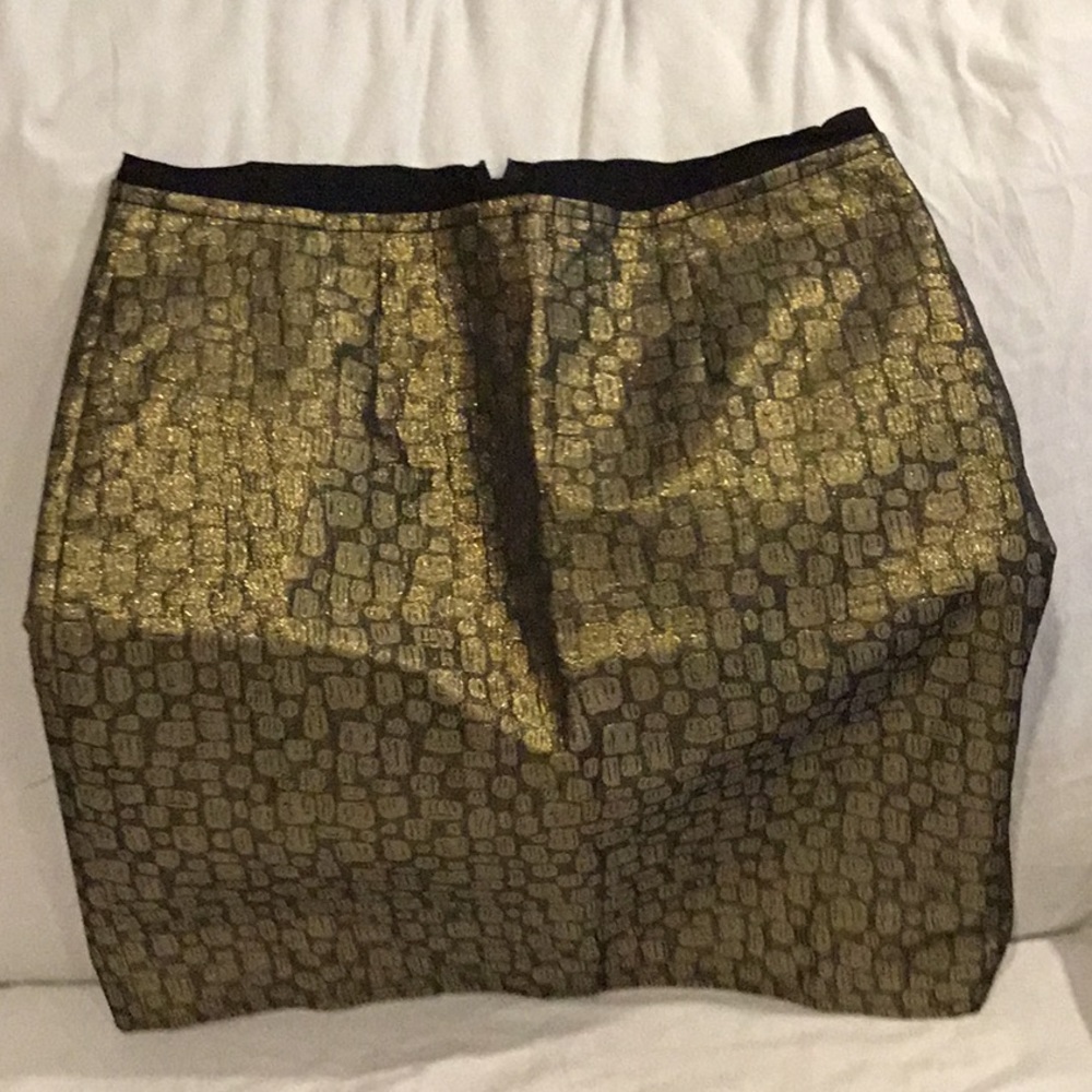 Ann Taylor Loft Skirt